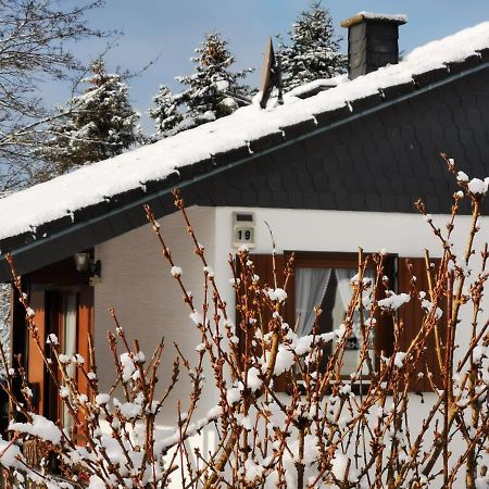 Bb19 Eifel-Ferienhaus Am Moseltal Mit Saunahaus Beuren  ภายนอก รูปภาพ