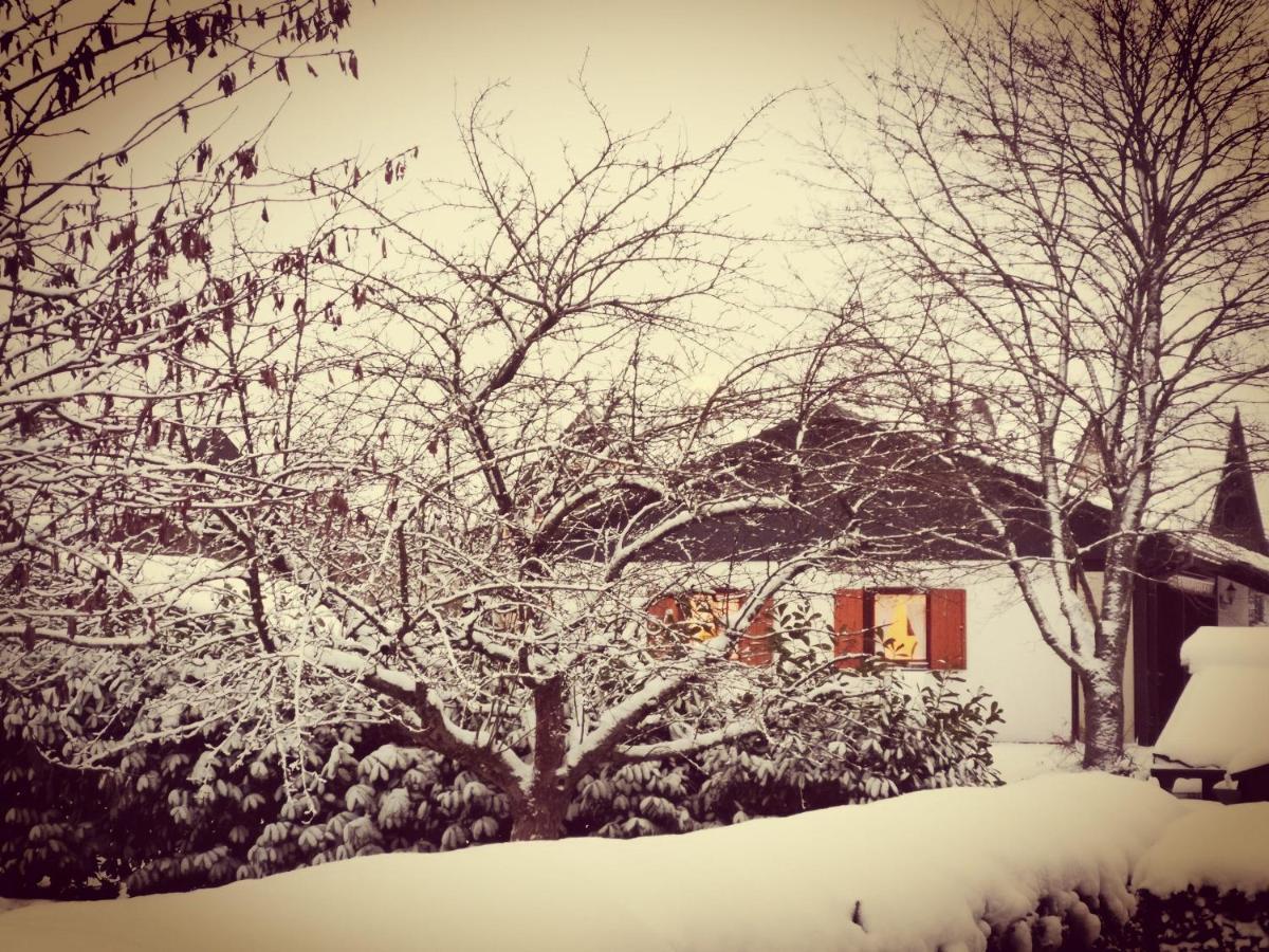 Bb19 Eifel-Ferienhaus Am Moseltal Mit Saunahaus Beuren  ภายนอก รูปภาพ