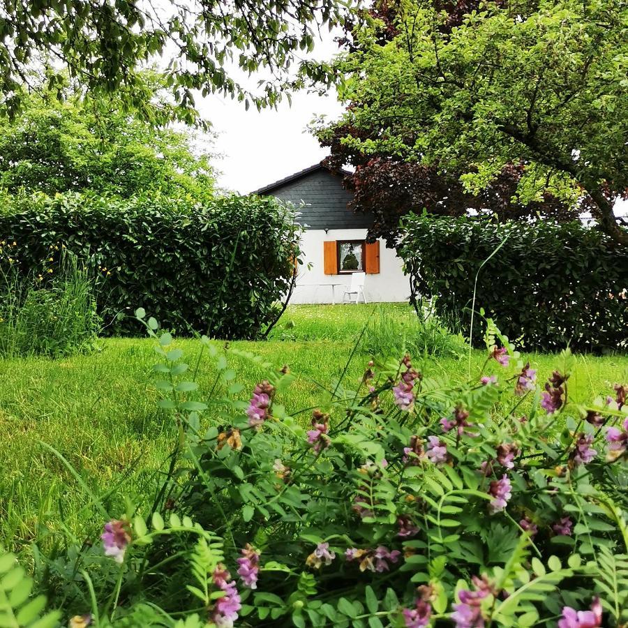 Bb19 Eifel-Ferienhaus Am Moseltal Mit Saunahaus Beuren  ภายนอก รูปภาพ