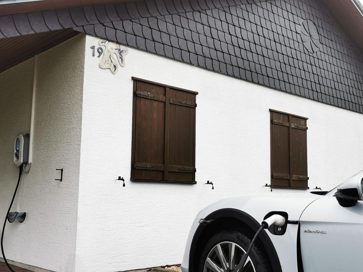 Bb19 Eifel-Ferienhaus Am Moseltal Mit Saunahaus Beuren  ภายนอก รูปภาพ